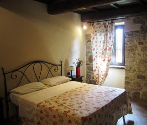 gallery-ulivi14