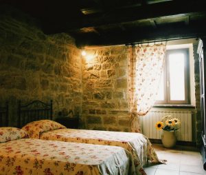 gallery-ulivi15