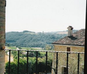 gallery-ulivi26
